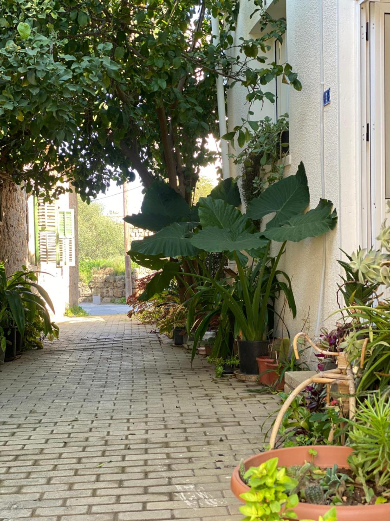 Grandmother's House Σπίτι διακοπών *